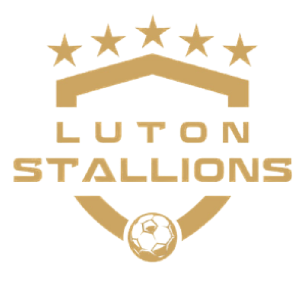large-logo-luton-stallions-fc
