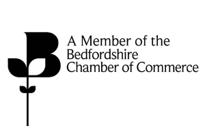 Stepping-Stones-Logo